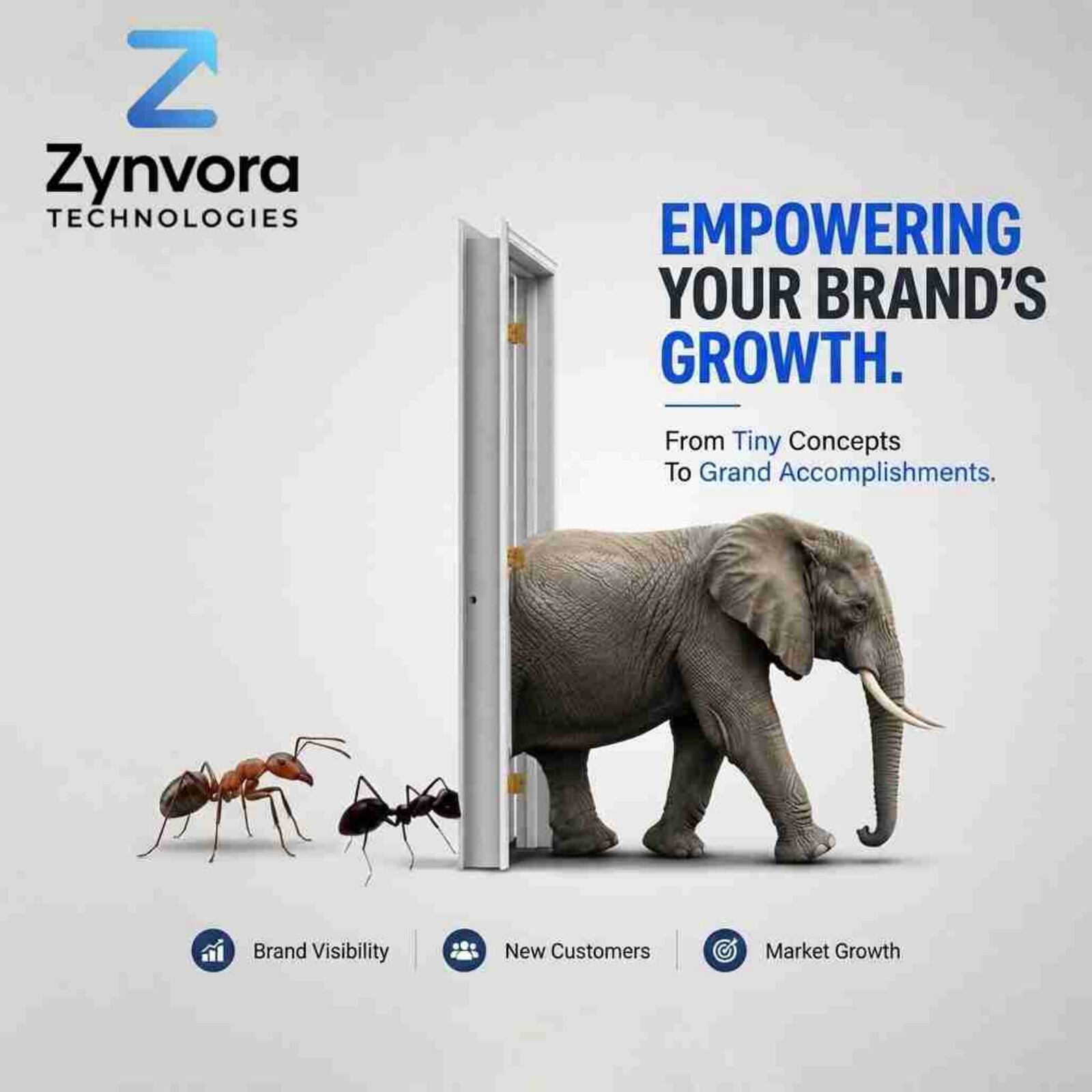 Zynvora Technologies — Graphic Design 27
